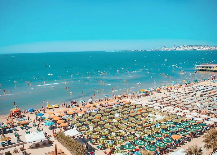 Sea Vista 158 - Happy *